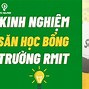 Nộp Hồ Sơ Học Bổng Rmit