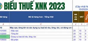 Thủ Tục Nhập Khẩu Mới Nhất Năm 2023